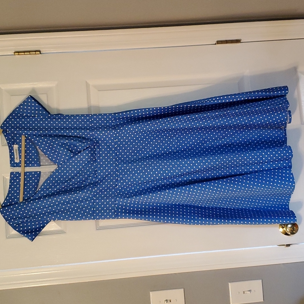 Blue and white polkadot vintage style dress